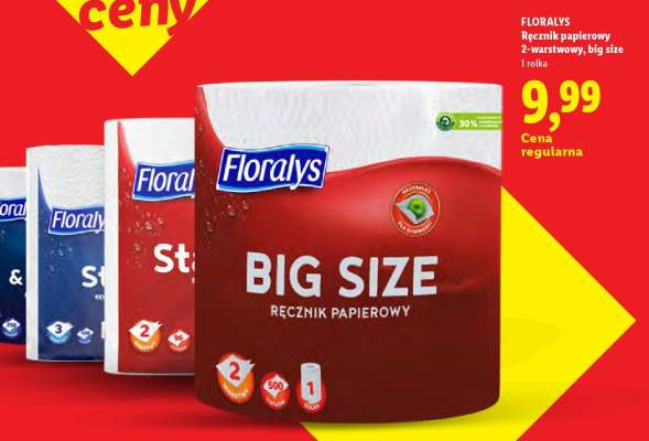 FLORALYS Ręcznik papierowy**