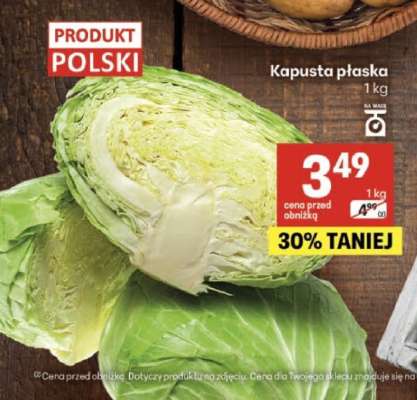 Kapusta płaska