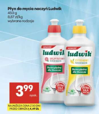 Płyn do mycia naczyń Ludwik