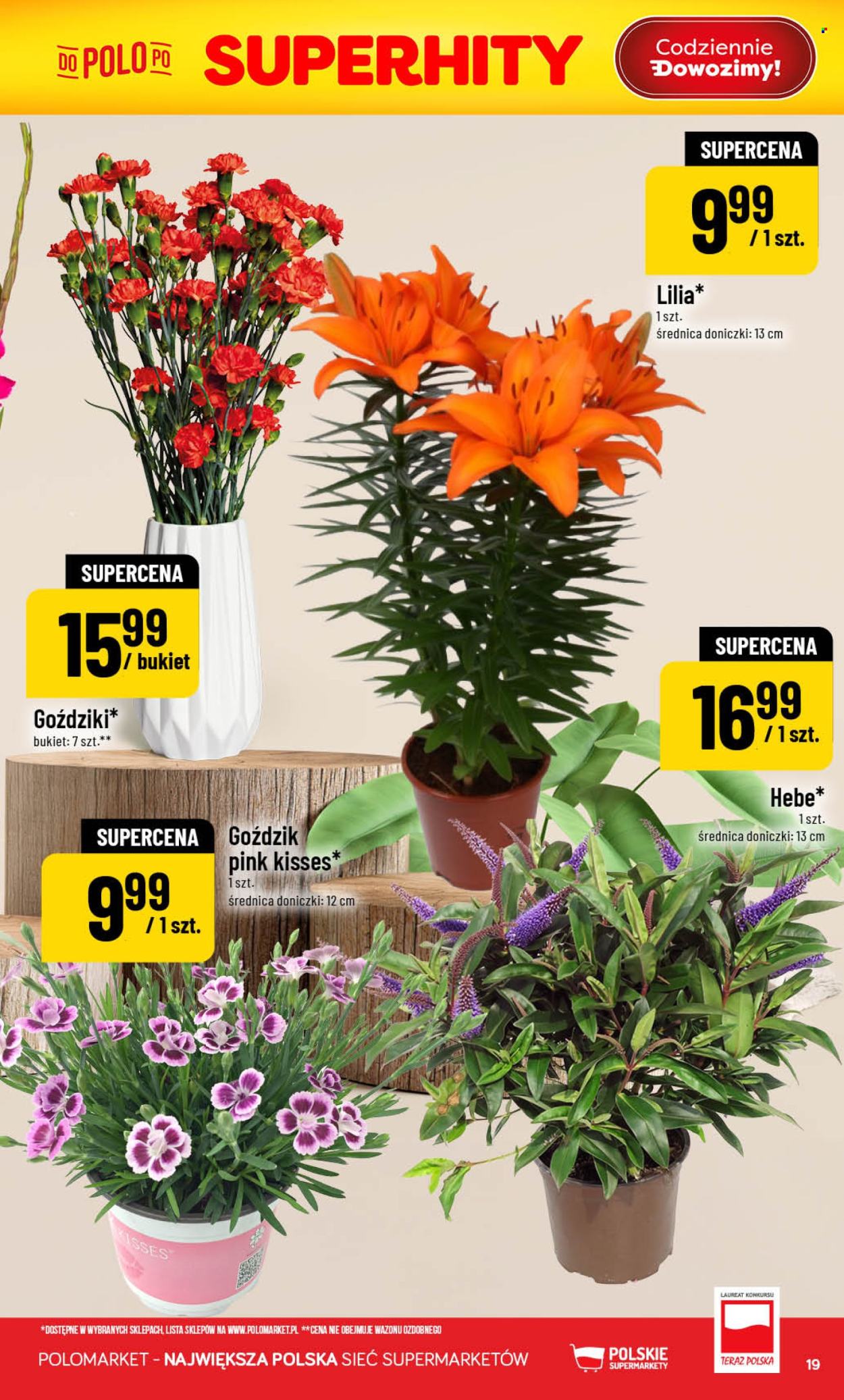 Gazetka Polomarket - 5.08.2026 - 11.08.2026. Strona 19