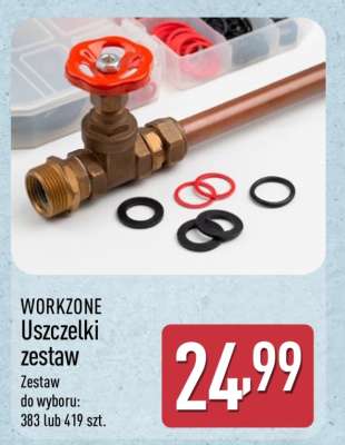 WORKZONE Uszczelki zestaw