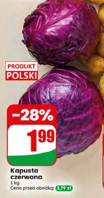 Kapusta czerwona