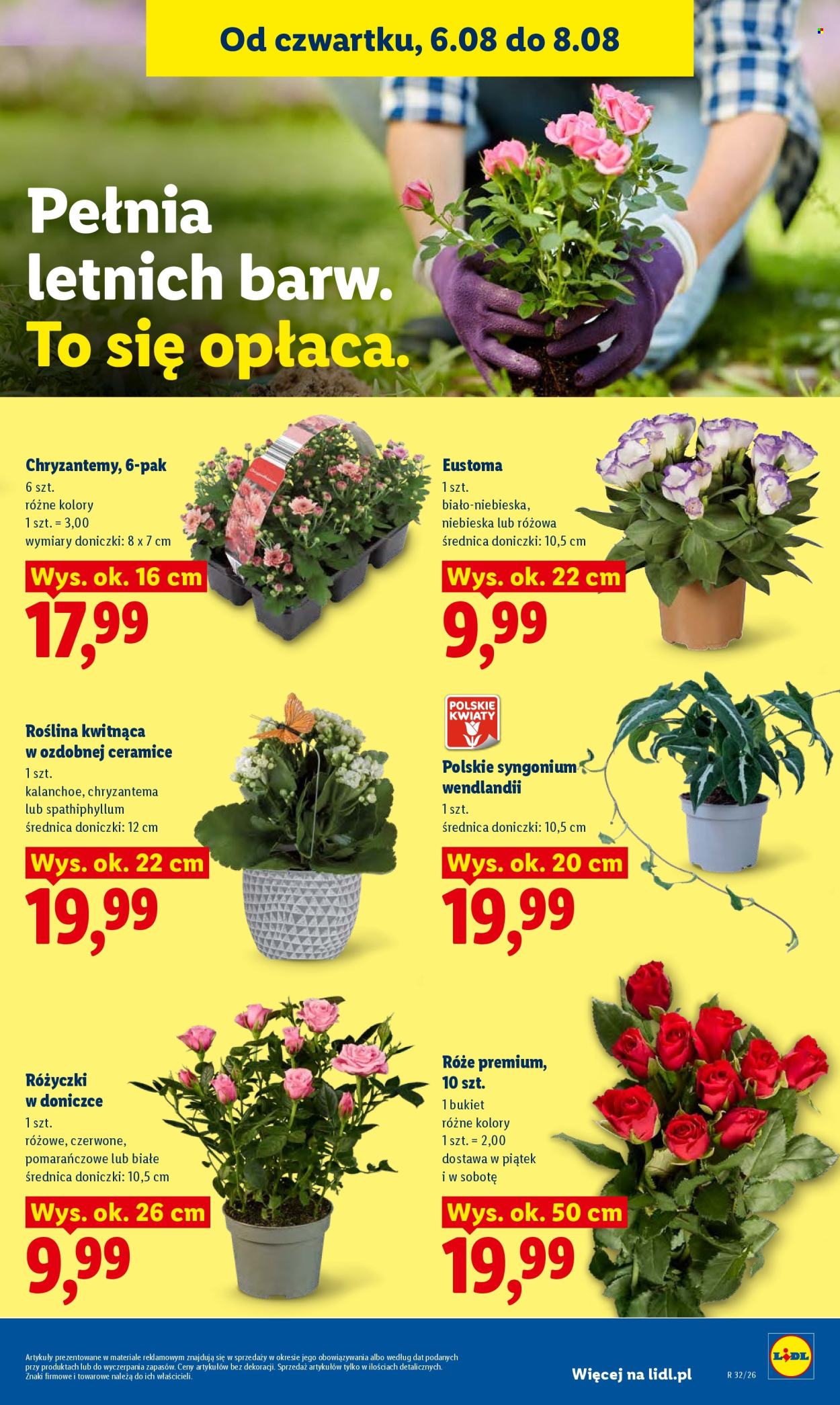 Gazetka Lidl - 6.08.2026 - 8.08.2026. Strona 87