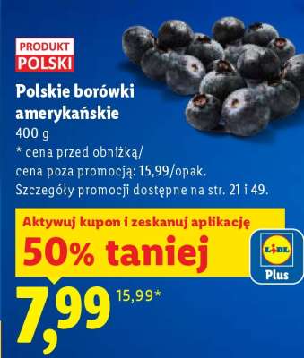 Polskie borówki amerykańskie
