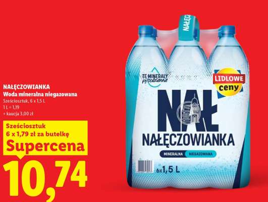 NAŁĘCZOWIANKA