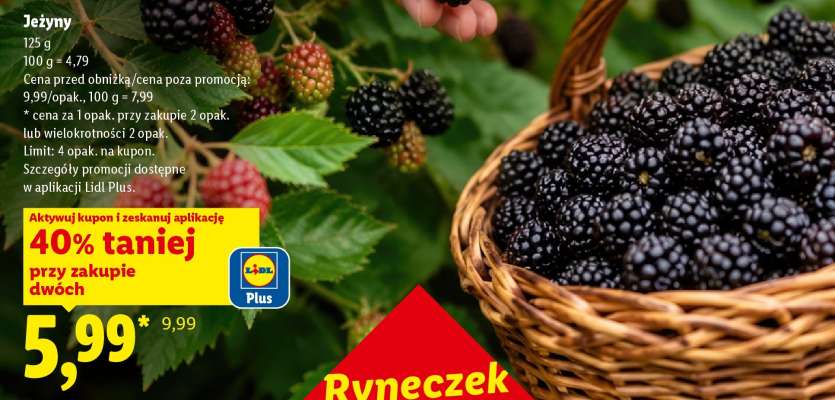 Jeżyny