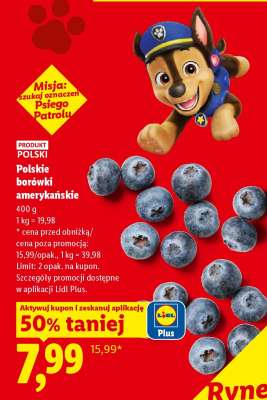 Polskie borówki amerykańskie