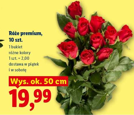 Róże premium, 10 szt.