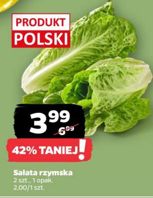 Sałata rzymska