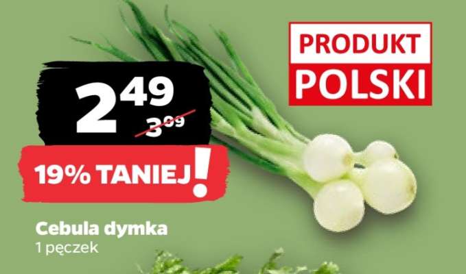 Cebula dymka