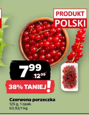 Czerwona porzeczka