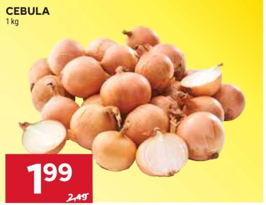 Cebula