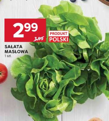 Sałata masłowa