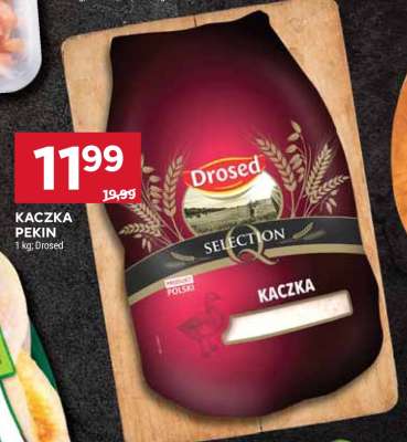 Kaczka Pekin