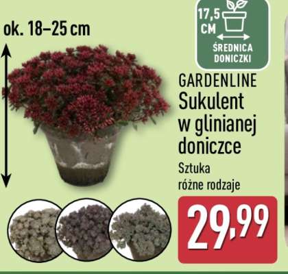 GARDENLINE