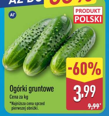 Ogórki gruntowe