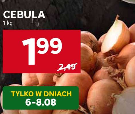Cebula