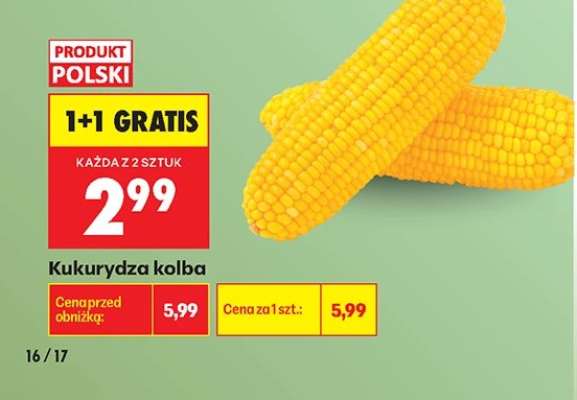 Kukurydza kolba