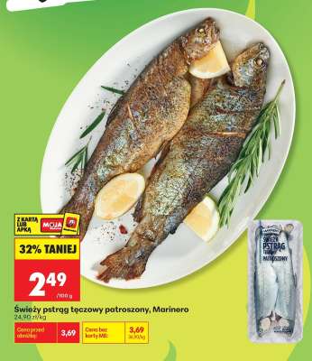 Świeży pstrąg tęczowy patroszony Marinero