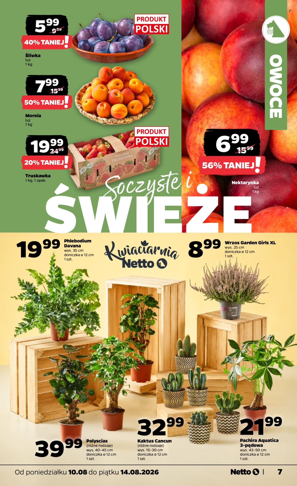 Gazetka Netto - 10.08.2026 - 14.08.2026. Strona 7