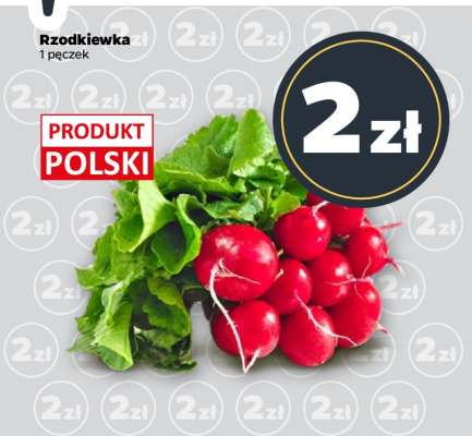 Rzodkiewka