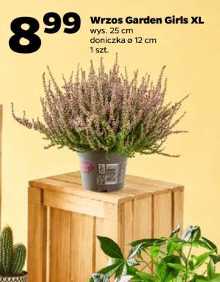 Wrzos Garden Girls XL
