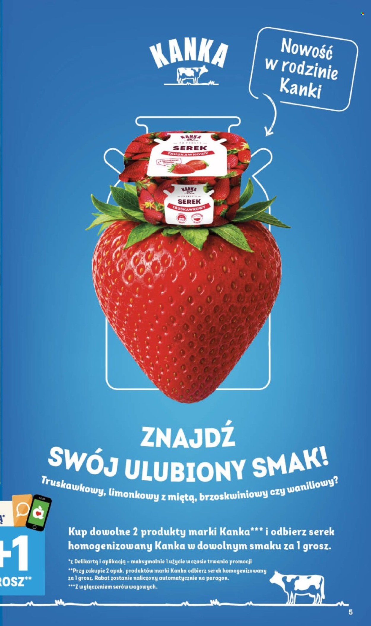 Gazetka Delikatesy Centrum - 13.08.2026 - 19.08.2026. Strona 5