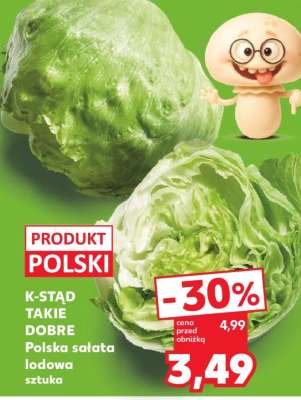 Polska sałata lodowa sztuka
