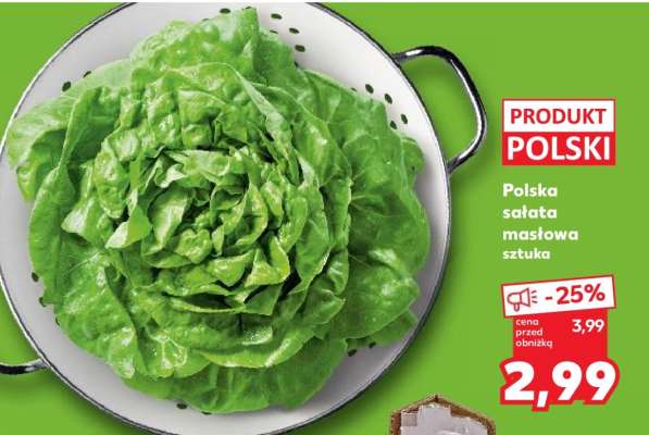 Polska sałata masłowa sztuka