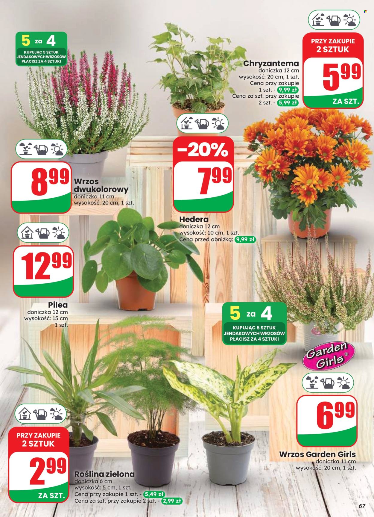 Gazetka Dino - 12.08.2026 - 18.08.2026. Strona 67