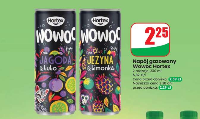 Napój gazowany Wowoc Hortex