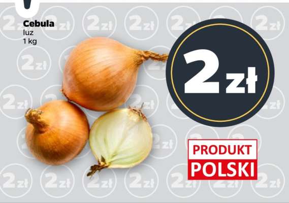 Cebula luz