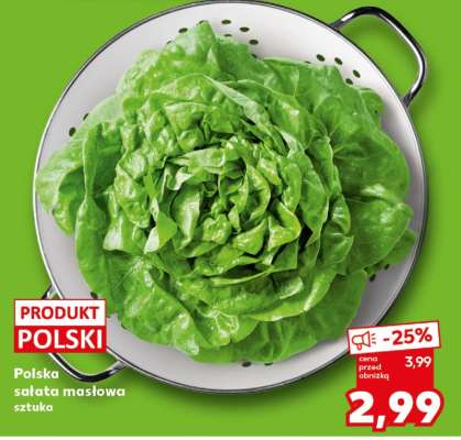 Polska sałata masłowa