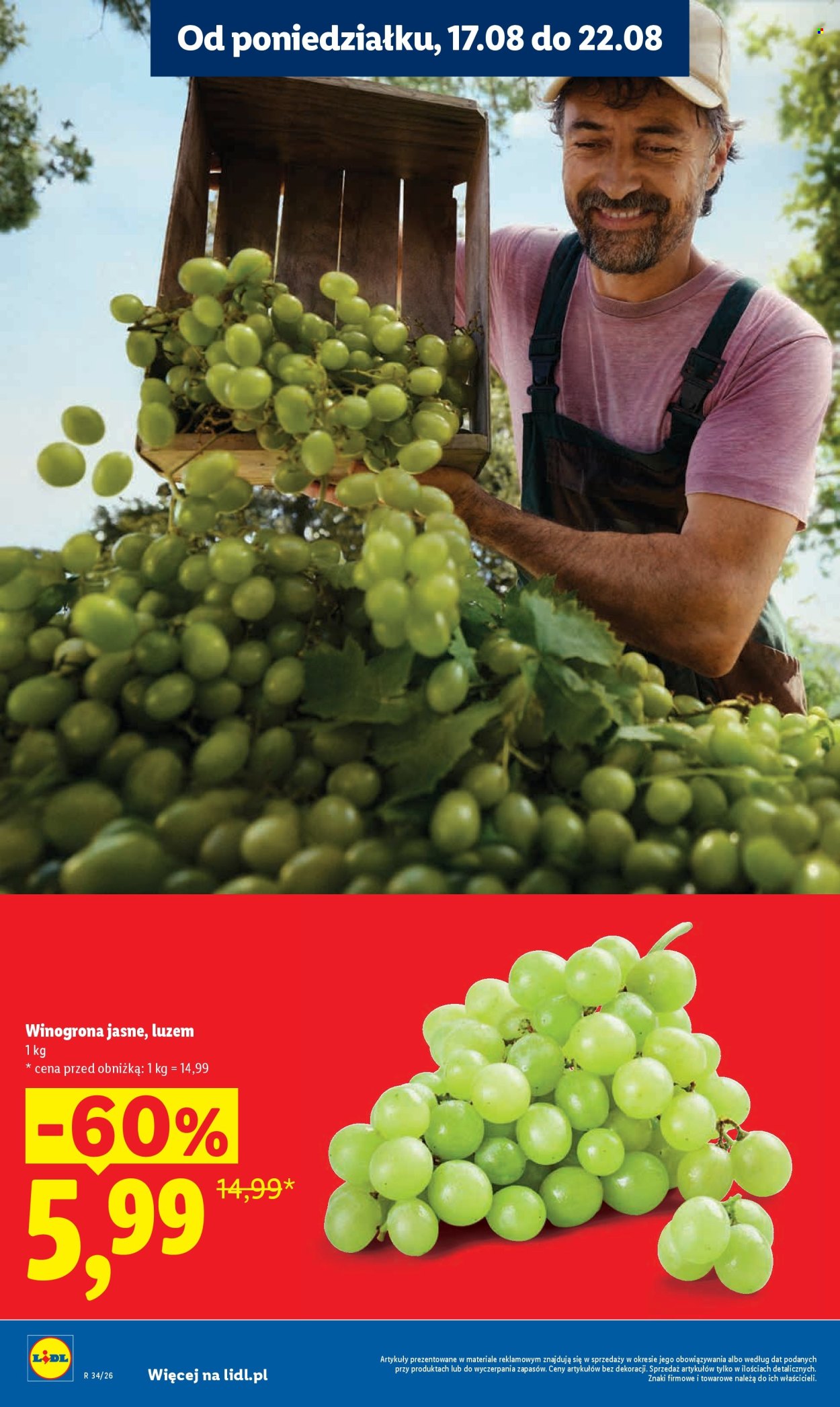 Gazetka Lidl - 17.08.2026 - 19.08.2026. Strona 16