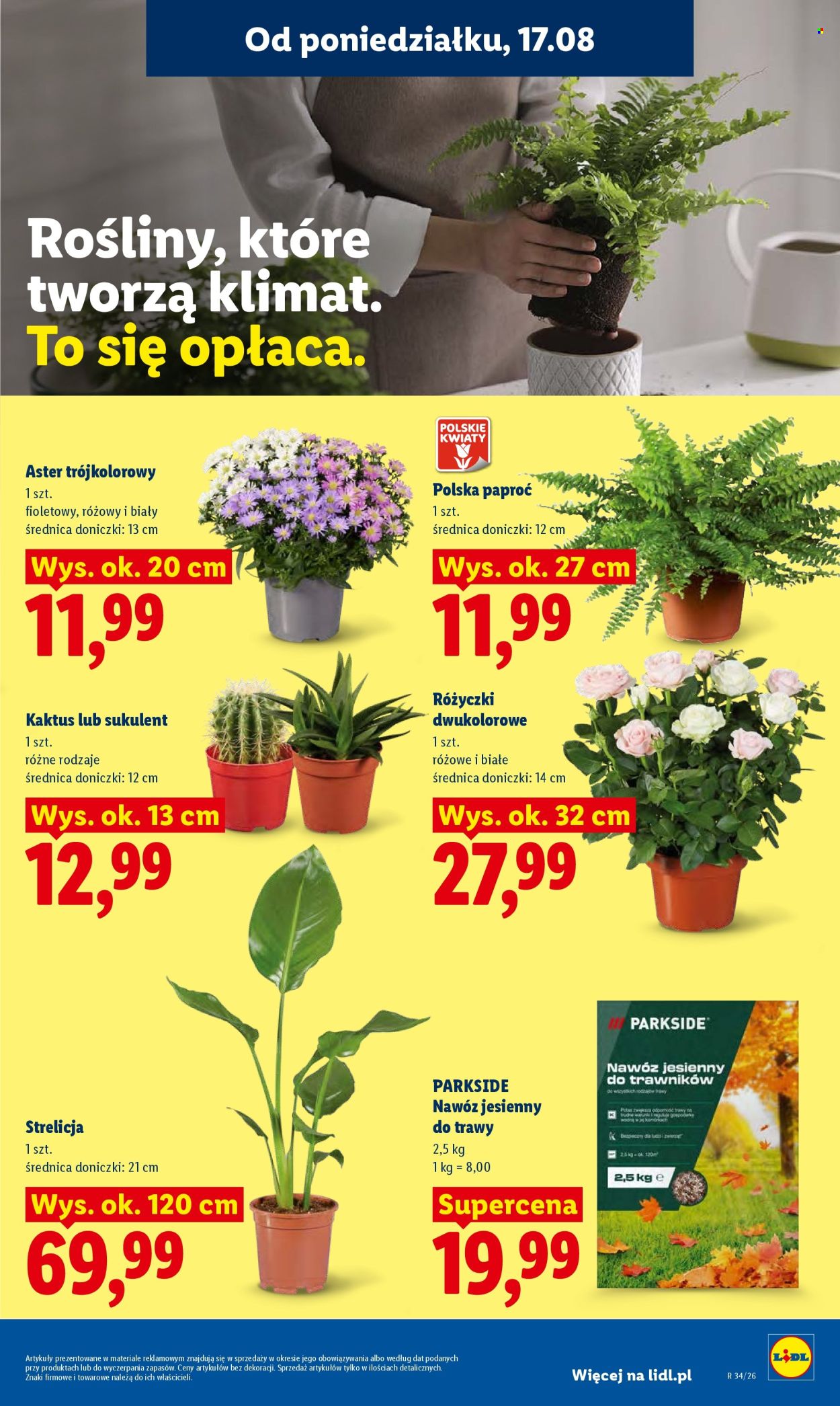 Gazetka Lidl - 17.08.2026 - 19.08.2026. Strona 77