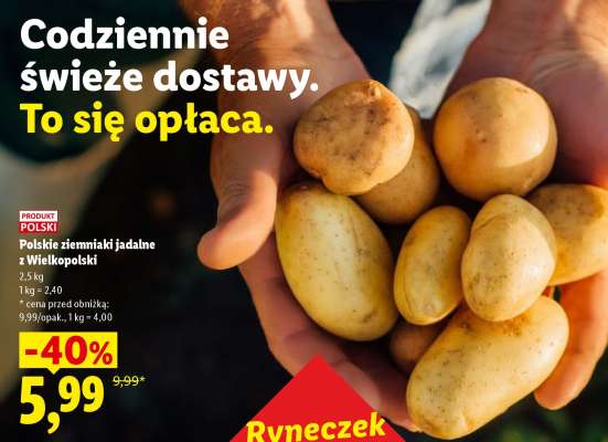 Polskie ziemniaki jadalne z Wielkopolski