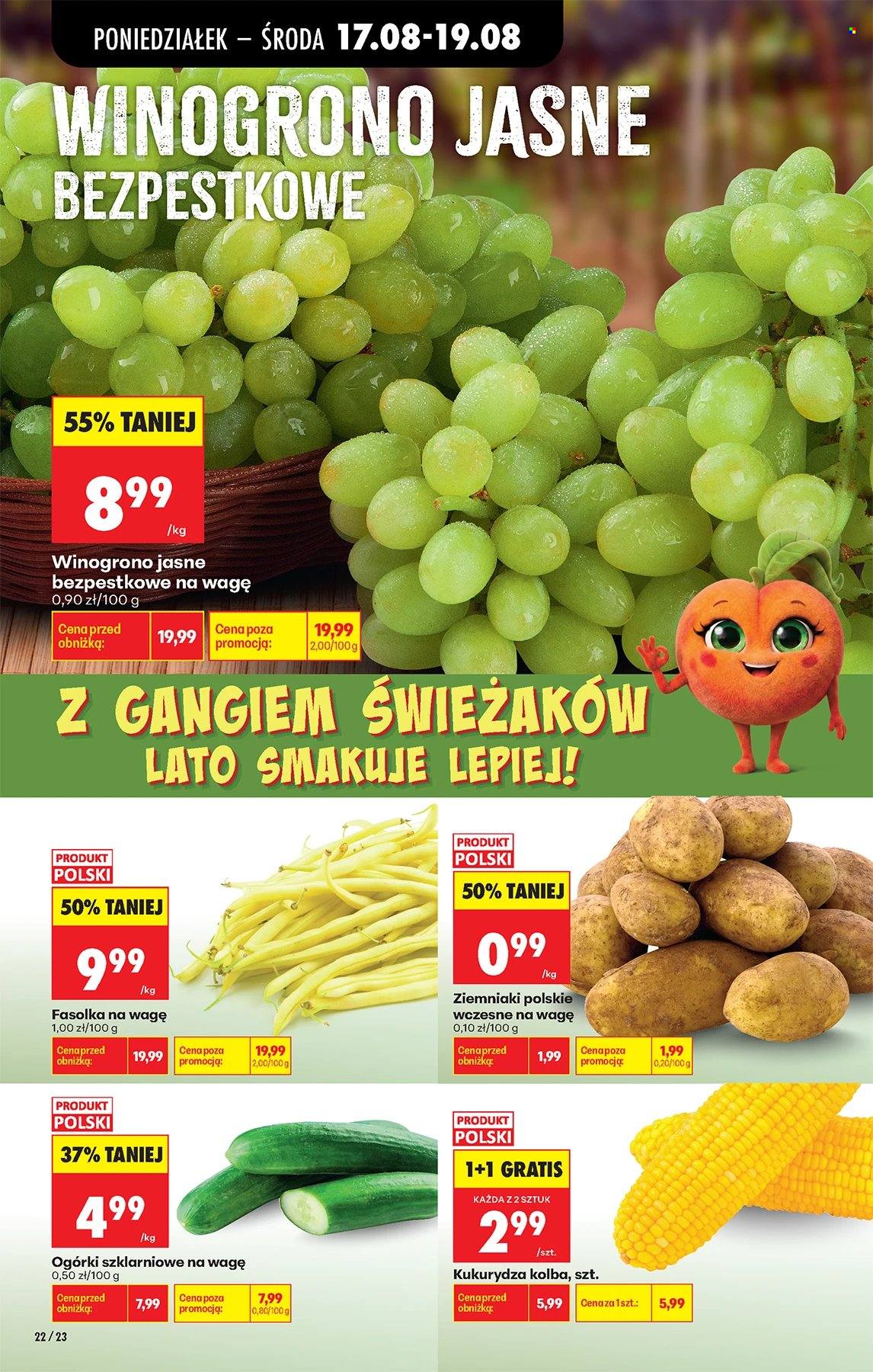 Gazetka Biedronka - 17.08.2026 - 22.08.2026. Strona 22