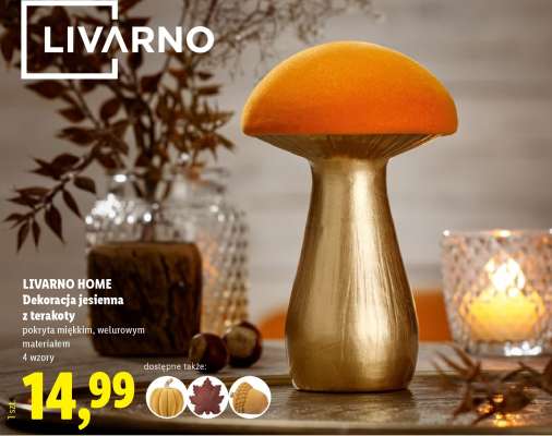 LIVARNO HOME Dekoracja jesienna