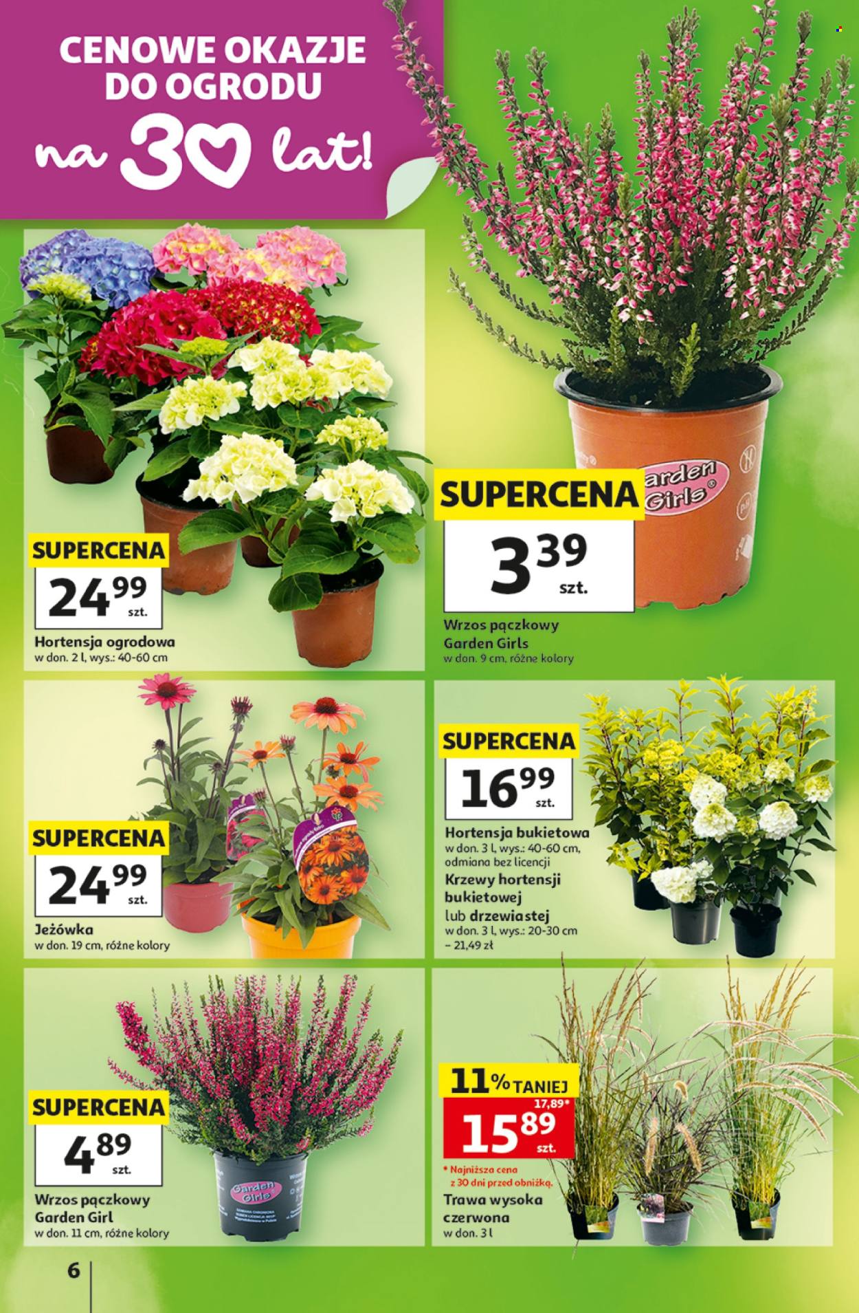 Gazetka Auchan - 20.08.2026 - 26.08.2026. Strona 6
