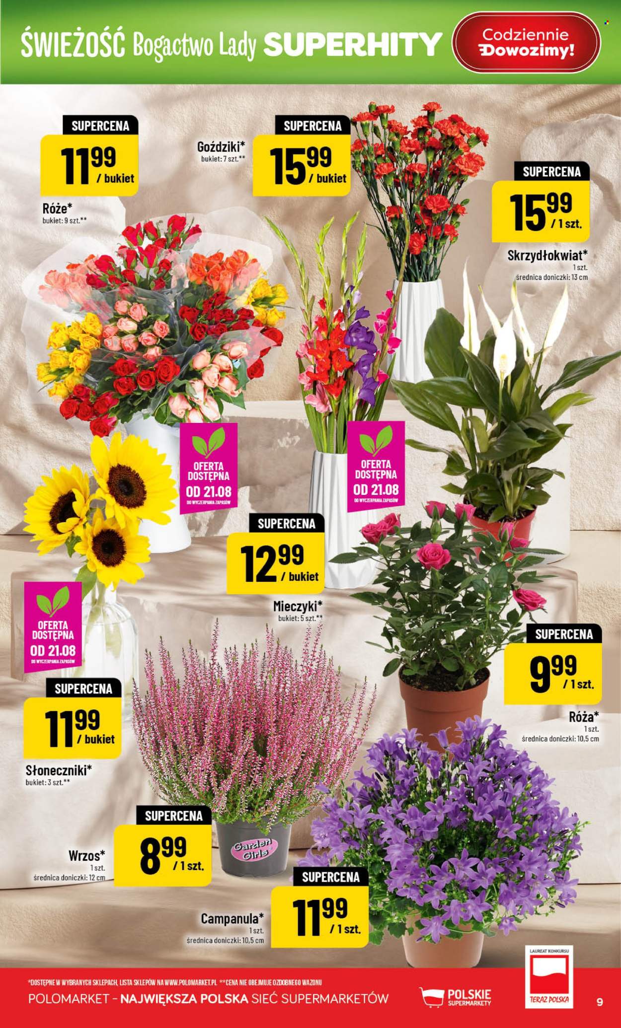 Gazetka Polomarket - 19.08.2026 - 25.08.2026. Strona 9