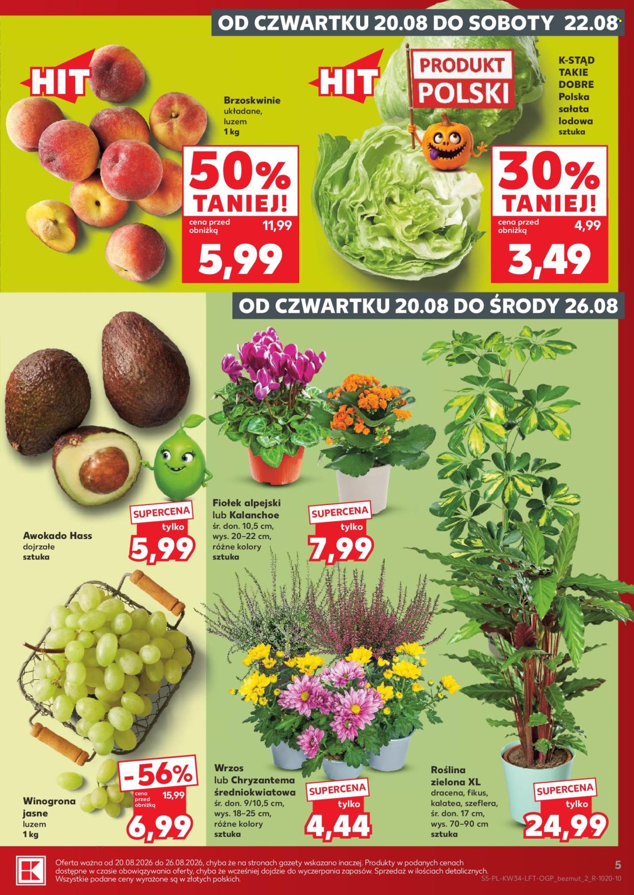 Gazetka Kaufland - 20.08.2026 - 26.08.2026. Strona 5