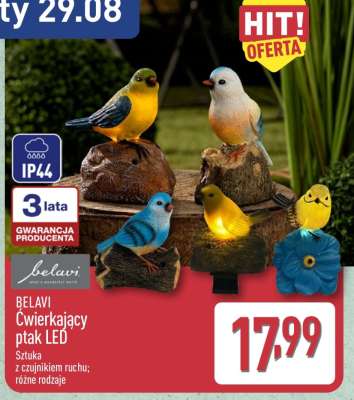 BELAVI Ćwierkający ptak LED