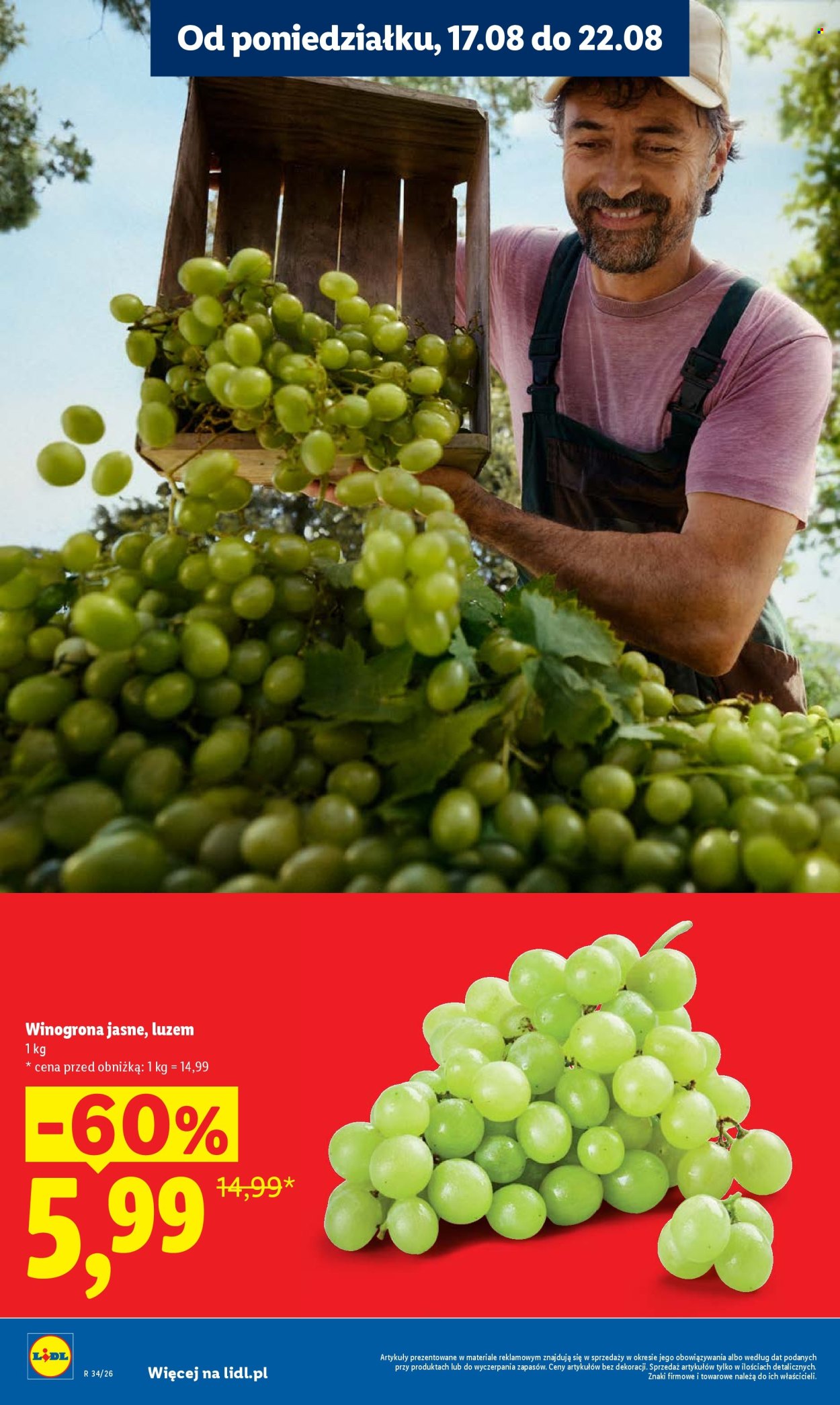 Gazetka Lidl - 20.08.2026 - 22.08.2026. Strona 16