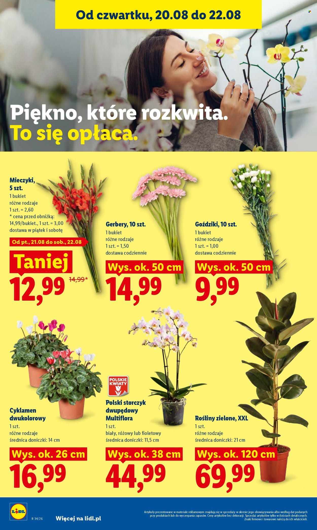Gazetka Lidl - 20.08.2026 - 22.08.2026. Strona 96