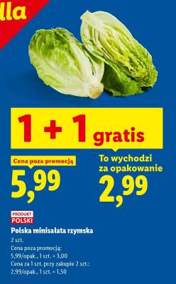 Polska minisałata rzymska