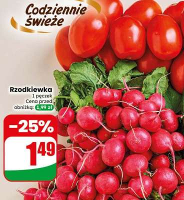 Rzodkiewka