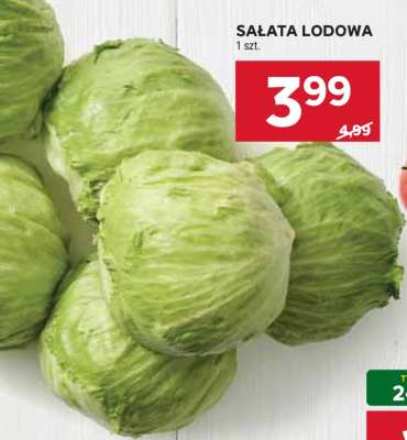 Sałata lodowa