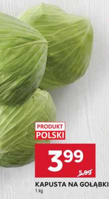 Kapusta na gołąbki