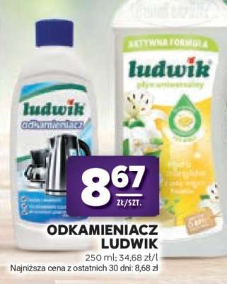 ODKAMIENIACZ LUDWIK