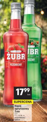 Żubr
